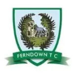 front-page-links-_0003_ferndown-town-council